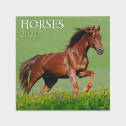 Dayspring Horses Brown Wall Calendar J1809 - Calendars