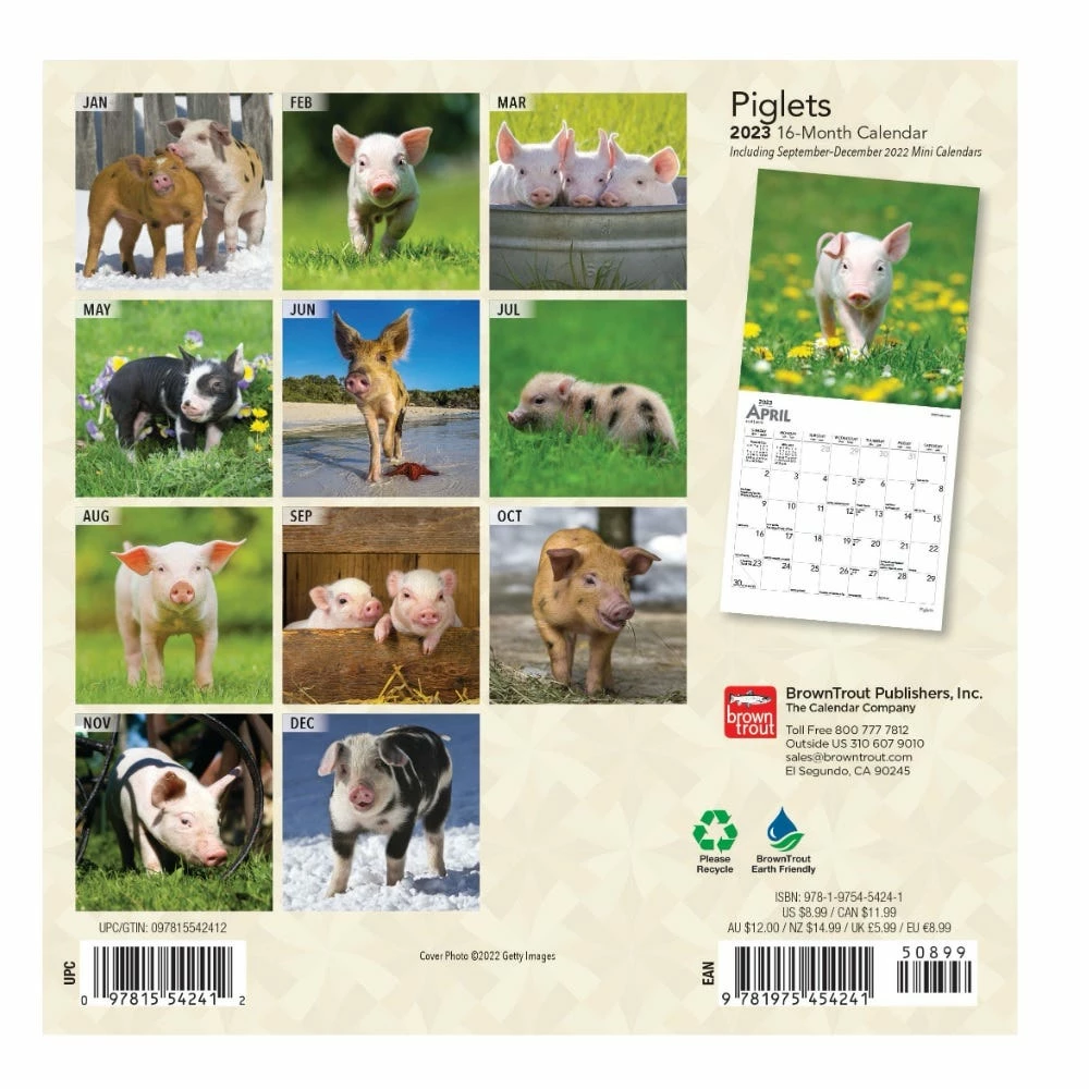 Brown Trout Piglets 2023 Mini 7x7 Calendar - Calendars 4 Brown Trout Piglets 2023 Mini 7x7 Calendar - Calendars - Image 2