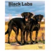 Brown Trout Black Labs 2023 Monthly Planner - Calendars 2 Brown Trout Black Labs 2023 Monthly Planner - Calendars -Outlet Hearth And Home Store 114d28fbea49b5a1579af4011b77403653a964d0 2022023745