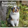 Brown Trout Australian Shepherds 2023 Mini 7x7 Calendar - Calendars