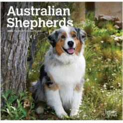 Brown Trout Australian Shepherds 2023 Mini 7x7 Calendar - Calendars