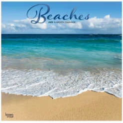 Brown Trout Beaches 2023 Square Foil Calendar - Calendars