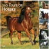 Brown Trout 365 Days of Horses 2023 Square Foil Calendar - Calendars -Outlet Hearth And Home Store 23df2c815ff2133d7ff34c015d230a7fcee8016a 2022023788