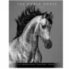 Brown Trout The Noble Horse Portrait Series 2023 Monthly Planner - Calendars -Outlet Hearth And Home Store 29a3597923c81db915347cf958effa2aed89d591 2022023739