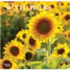 Brown Trout Sunflowers 2023 Mini 7x7 Calendar - Calendars -Outlet Hearth And Home Store 2c484d6b4e00bc15af27fed0753993bfc9fa363e 2022023762