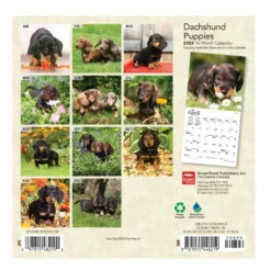 Brown Trout Dachshund Puppies 2023 Mini 7x7 Calendar - Calendars 5 Brown Trout Dachshund Puppies 2023 Mini 7x7 Calendar - Calendars -Outlet Hearth And Home Store 35f1faf7293a2db6046505748e61c7aa9dcd8aba 2022023759 1