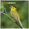 Brown Trout Songbirds 2023 Square Foil Calendar - Calendars -Outlet Hearth And Home Store 3eec262686f9f8812f9bcedb22a34076970022e4 2022023826