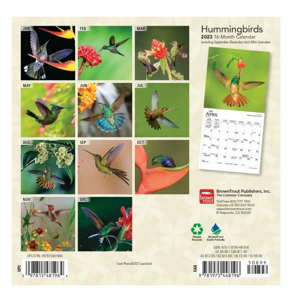 Brown Trout Hummingbirds 2023 Mini 7x7 Calendar - Calendars 4 Brown Trout Hummingbirds 2023 Mini 7x7 Calendar - Calendars - Image 2