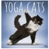 Brown Trout Yoga Cats 2023 Square Calendar - Calendars -Outlet Hearth And Home Store 4d20b0f4092f04d9ef340538c7beeeb7e8f13a0f 2022023802