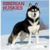 Brown Trout Siberian Huskies 2023 Square Foil Calendar - Calendars 2 Brown Trout Siberian Huskies 2023 Square Foil Calendar - Calendars -Outlet Hearth And Home Store 511c8078475e056029b35d26cc5115326db4b907 2022023835
