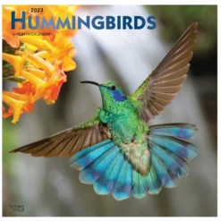 Brown Trout Hummingbirds 2023 Square Foil Calendar - Calendars