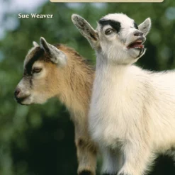 Companion Books Hobby Farm: Mini Goats - Books and Magazines