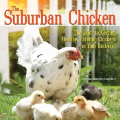 Companion Books Suburban Chicken - Books and Magazines