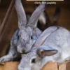 Companion Books Hobby Farm Rabbits - Books and Magazines -Outlet Hearth And Home Store 53281054 53281054 image 53281054