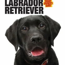 Companion Books SOG Labrador Retriever - Books and Magazines