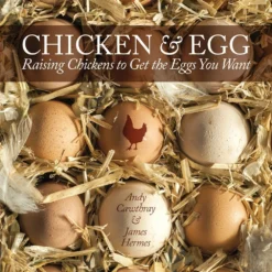 Companion Books Chicken and Egg - Books and Magazines