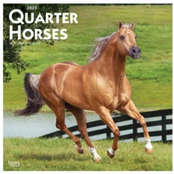 Brown Trout Quarter Horses 2023 Square Calendar - Calendars