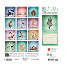 Brown Trout Yoga Cats 2023 Square Calendar - Calendars -Outlet Hearth And Home Store 5ff2c6901dfbcc66aa2bae1340a6d2e8cf899ab7 2022023802 1