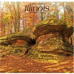 Brown Trout Illinois Wild & Scenic 2023 Square Calendar - Calendars