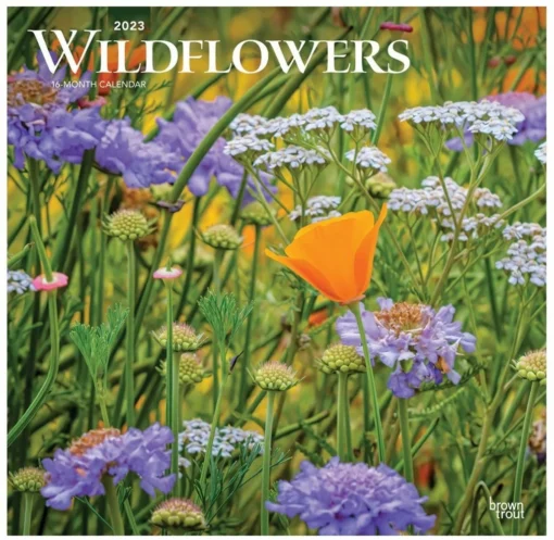 Brown Trout Wildflowers 2023 Square Calendar - Calendars -Outlet Hearth And Home Store 7dff3e10af785d9326d35cf29248f42129ed95c9 2022023844