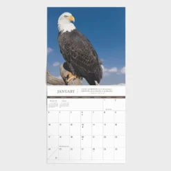 Dayspring On Eagles' Wings Mini Wall Calendar J3945 - Calendars -Outlet Hearth And Home Store 7e9d1fab199f0b09824b492eb6c6fe3aa8d75515 550523007 2