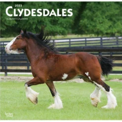 Brown Trout Clydesdales 2023 Square Calendar - Calendars