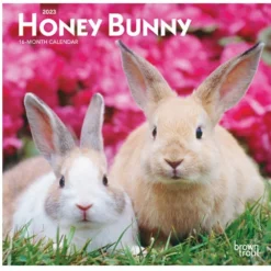 Brown Trout Honey Bunny 2023 Mini 7x7 Calendar - Calendars