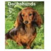 Brown Trout Dachshunds 2023 Monthly Planner - Calendars -Outlet Hearth And Home Store 888dc5188668535eb84d568f6fd8b4bf4fc95073 2022023744