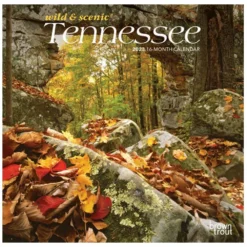 Brown Trout Tennessee Wild & Scenic 2023 Mini 7x7 Calendar - Calendars