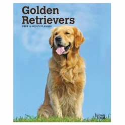 Brown Trout Golden Retrievers 2023 Monthly Planner - Calendars