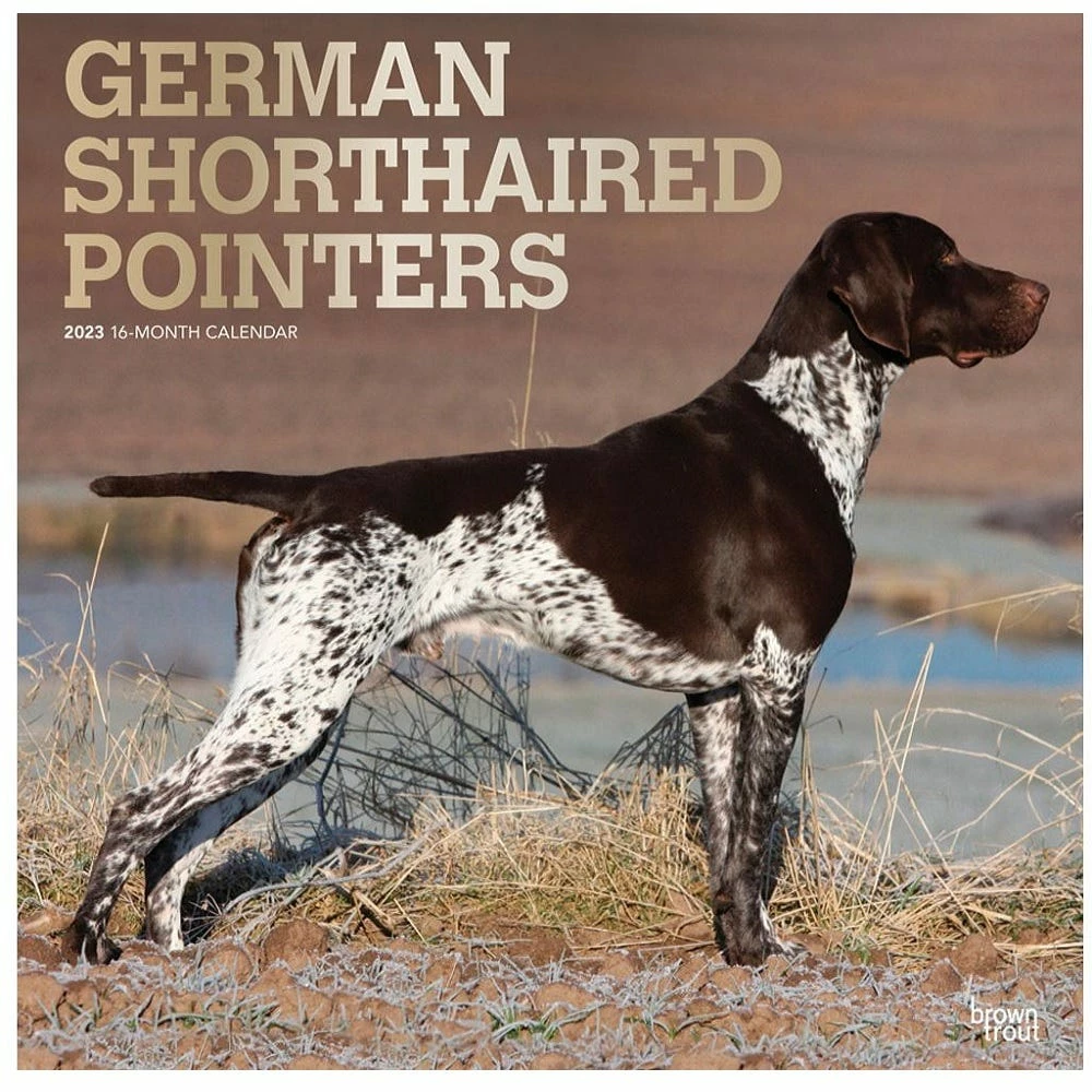 Brown Trout German Shorthaired Pointers 2023 Square Foil Calendar - Calendars 3 Brown Trout German Shorthaired Pointers 2023 Square Foil Calendar - Calendars