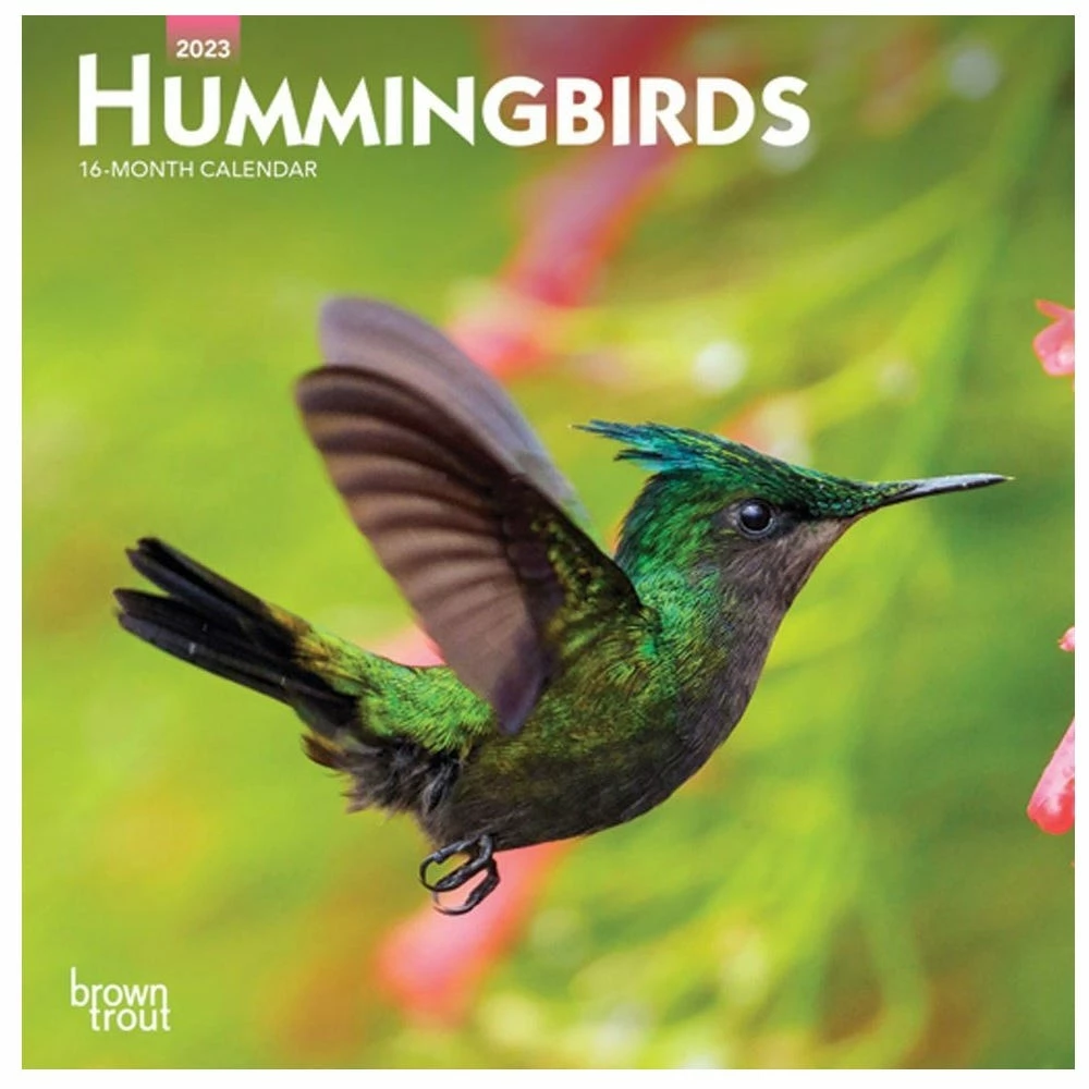 Brown Trout Hummingbirds 2023 Mini 7x7 Calendar - Calendars 3 Brown Trout Hummingbirds 2023 Mini 7x7 Calendar - Calendars