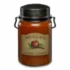 McCall's Mulled Apple Cider Classic Jar Candle, 26 oz. - JMA-26 - Candles
