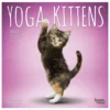Brown Trout Yoga Kittens 2023 Mini 7x7 Calendar - Calendars 1 Brown Trout Yoga Kittens 2023 Mini 7x7 Calendar - Calendars -Outlet Hearth And Home Store a971f8d12fdfa04dc99a4c778ea27a1f11e7a244 2022023749