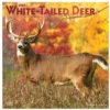 Brown Trout White Tailed Deer 2023 Square Foil Calendar - Calendars -Outlet Hearth And Home Store ad0de36ecd2566d56f5dfc13ba01b85d94574a1c 2022023810