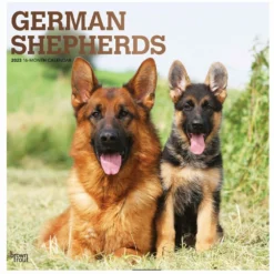 Brown Trout German Shepherds 2023 Square Foil Calendar - Calendars
