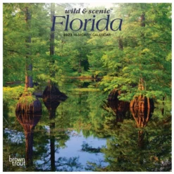 Brown Trout Florida Wild & Scenic 2023 Mini 7x7 Calendar - Calendars