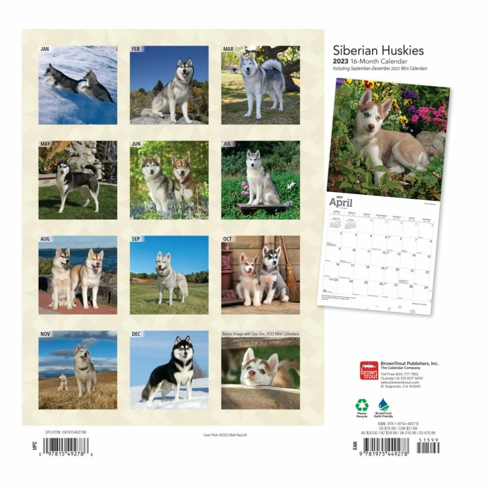 Brown Trout Siberian Huskies 2023 Square Foil Calendar - Calendars 4 Brown Trout Siberian Huskies 2023 Square Foil Calendar - Calendars - Image 2