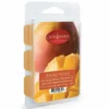 Candle Warmers Wax Melts - Summer Mango - 7980S - Candles & Home Fragrance -Outlet Hearth And Home Store b741a21849fd3a1d920cc7a70d128365d51f55cb 54012010