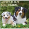 Brown Trout Australian Shepherds 2023 Square Foil Calendar - Calendars -Outlet Hearth And Home Store b8161c4b0ac0015e4d95f6ca1ef4d562a675d7bd 2022023800