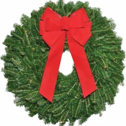 Various Brands 22 inch Fraser Fir Wreath - Décor