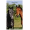 Brown Trout Horse Lovers 2023-24 Monthly Pocket Planner - Calendars -Outlet Hearth And Home Store cb9183f86c6760470d1582930449fe7bcce016a4 2022023771