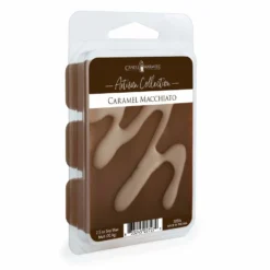 Candle Warmers Etc. Caramel Macchiato 2.5oz. Artisan Wax Melt 3050s - Wax Melts