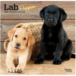 Brown Trout Lab Puppies 2023 Mini 7x7 Calendar - Calendars