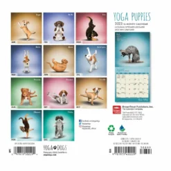 Brown Trout Yoga Puppies 2023 Mini 7x7 Calendar - Calendars -Outlet Hearth And Home Store e40d7099afb5de813838be5c447503650096b0b0 2022023752 1