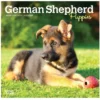 Brown Trout German Shepherd Puppies 2023 Mini 7x7 Calendar - Calendars -Outlet Hearth And Home Store eb1cd445743395a2194fb99f6d982d75ae5c44f7 2022023761