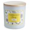Candle Warmers 15 oz. Aromatherapy Candle Purify - C8750 - Candles & Home Fragrance -Outlet Hearth And Home Store f02aff62fc9b208ebf3083b3f1db99a656dff72e 54012006