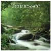 Brown Trout Tennessee Wild & Scenic 2023 Square Calendar - Calendars