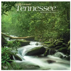 Brown Trout Tennessee Wild & Scenic 2023 Square Calendar - Calendars