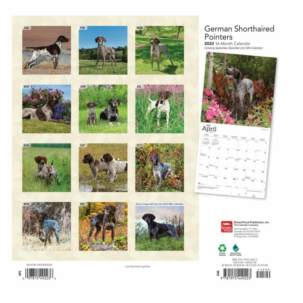 Brown Trout German Shorthaired Pointers 2023 Square Foil Calendar - Calendars 4 Brown Trout German Shorthaired Pointers 2023 Square Foil Calendar - Calendars - Image 2